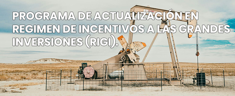 Programa de actualizacin en rgimen de incentivos a las grandes inversiones (RIGI)